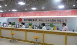 青岛最新爆料头条新闻,重大事件引发社会关注