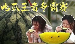 吃瓜王免费全集在线观看,免费全集在线观看，揭秘娱乐圈幕后风云