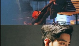 圈内爆料肖战的专家,圈内专家深度剖析其魅力与影响力